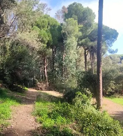 Forest Paradise דירה